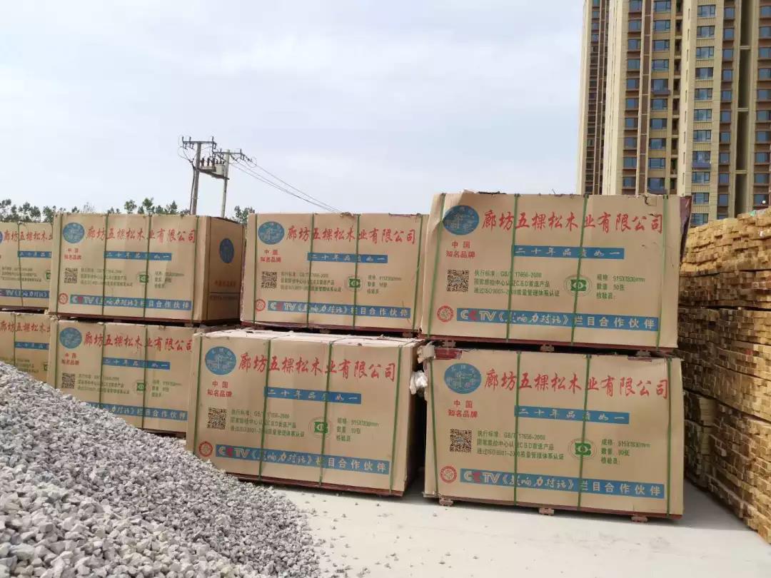 太阳集团tyc5997集团助力沧州新地标---京贵大厦